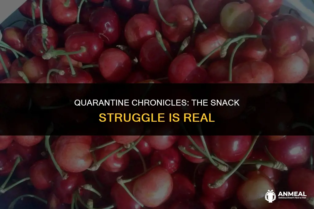 me trying not to eat all my quarantine snacks
