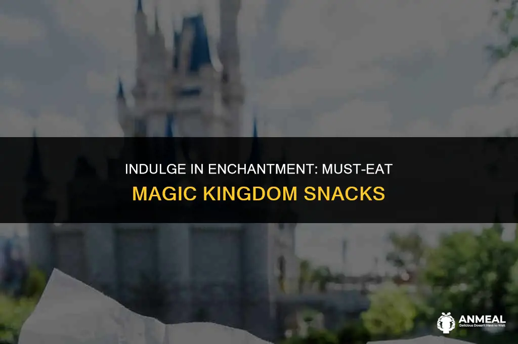 must eat magic kingdom snacks