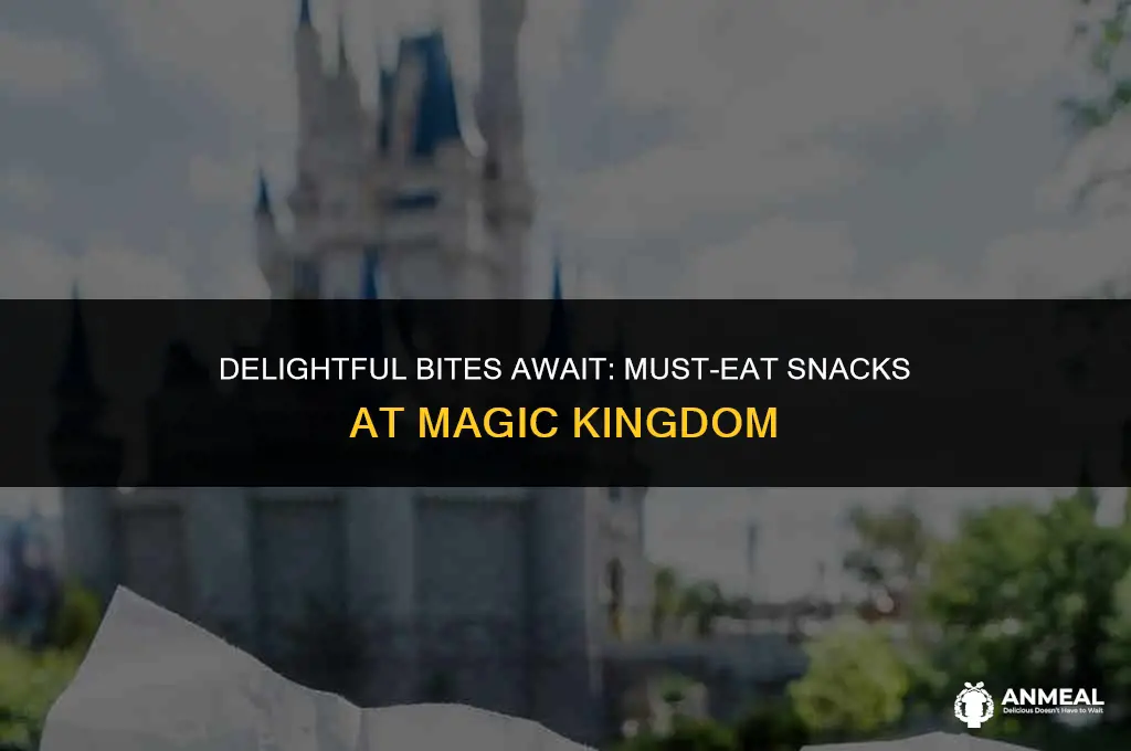 must eat snacks at magic kingdom