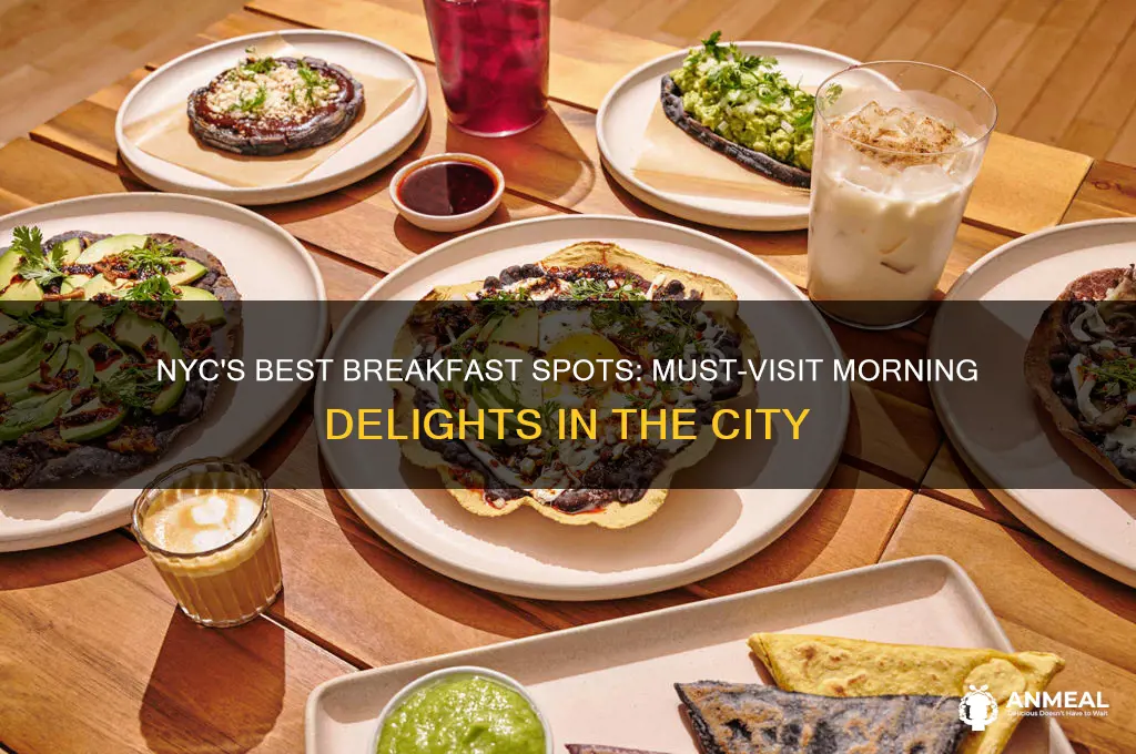 must go breakfast in nyc