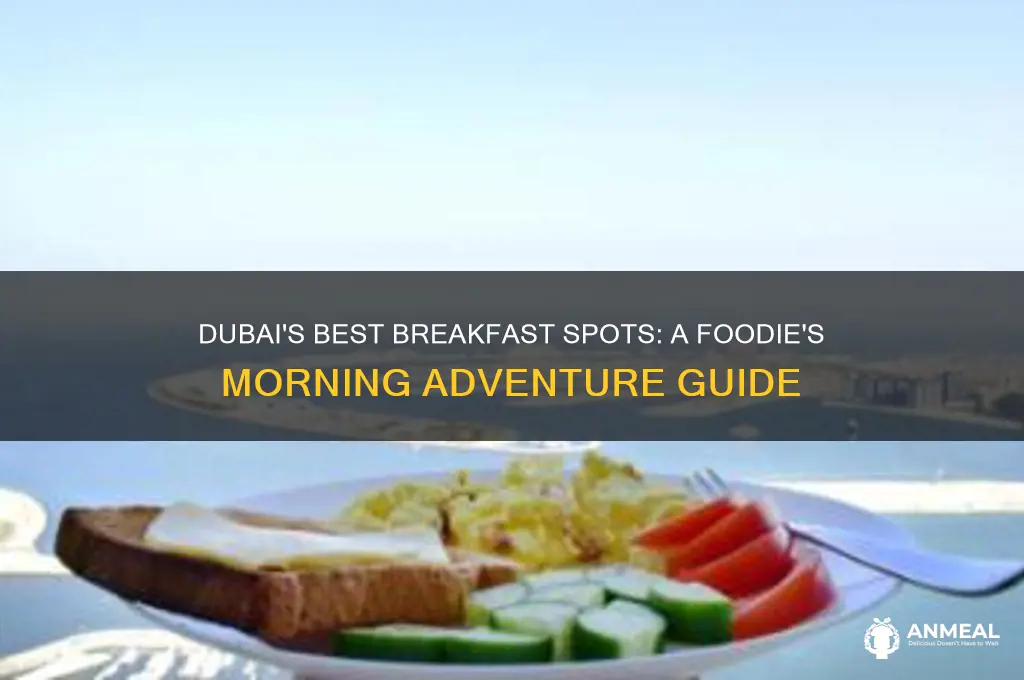 must try breakfast in dubai