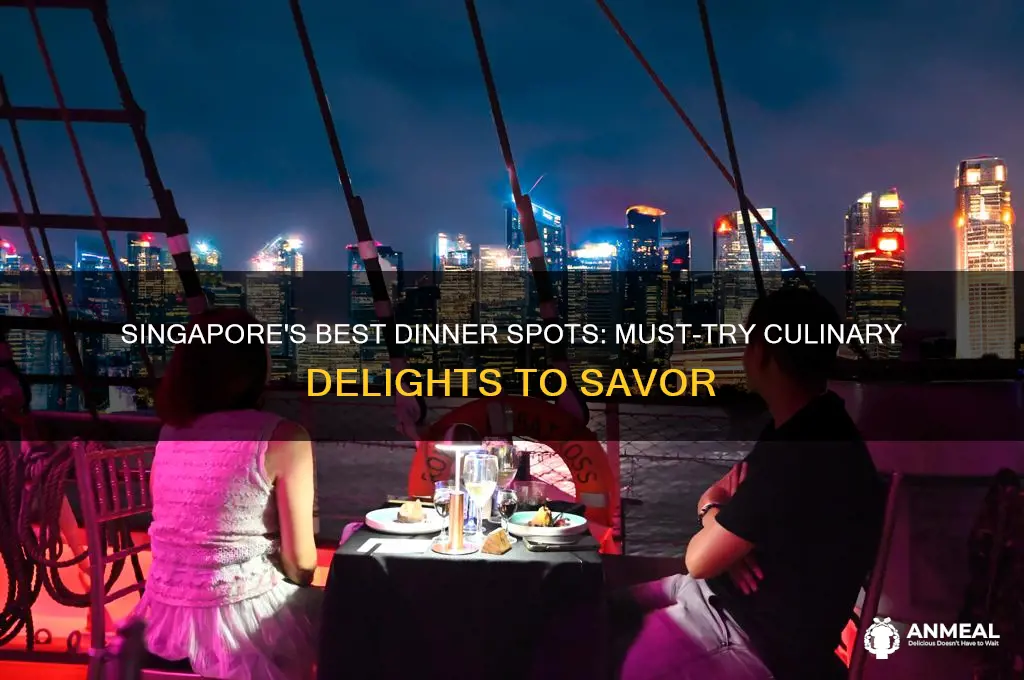 must try dinner in singapore