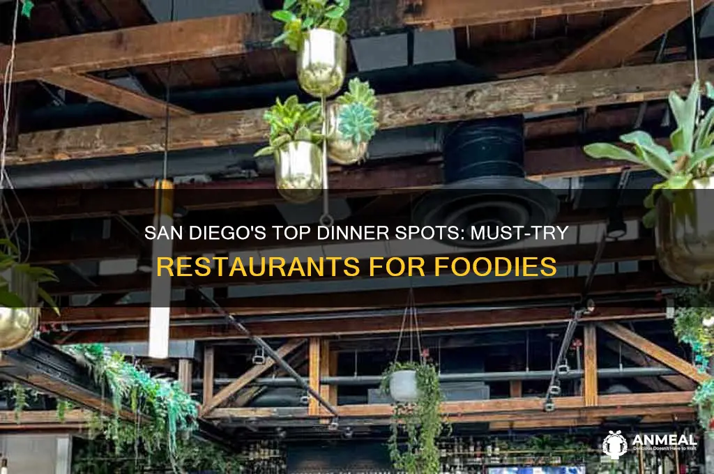 must try dinner places in san diego