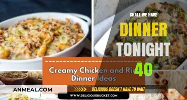 Shall We Have Dinner Tonight? 40 Delicious Ideas to Try!
