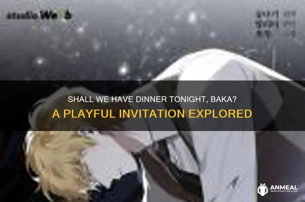 shall we have dinner tonight baka