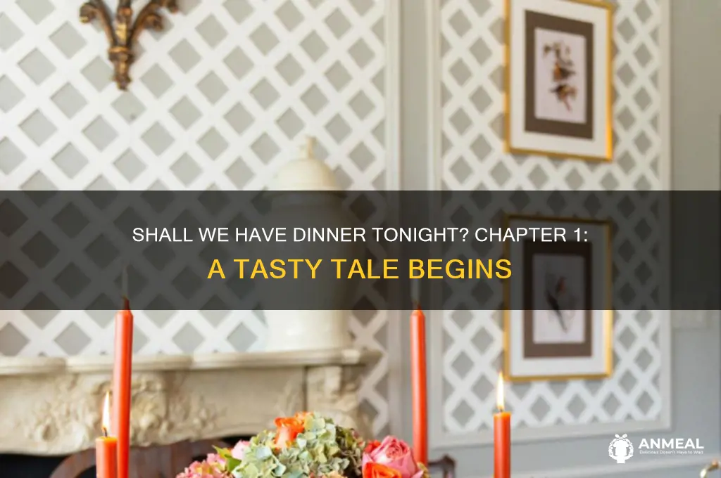 shall we have dinner tonight chapter 1