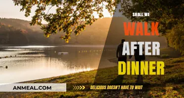 Shall We Walk After Dinner? Benefits, Tips, and Why It Matters