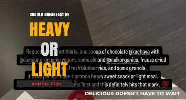 Heavy vs. Light Breakfast: Which Fuels Your Day Better?