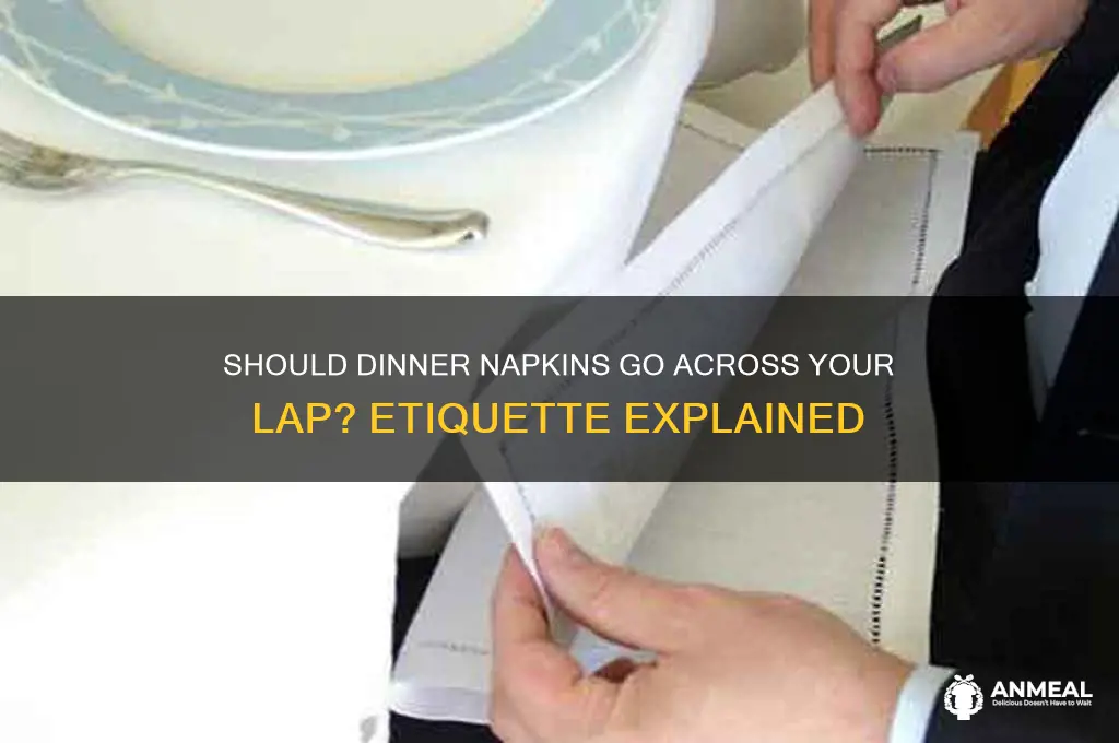 should dinner napkins go across lap