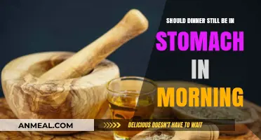 Morning Digestion: Should Last Night's Dinner Still Be in Your Stomach?