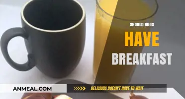 Should Dogs Have Breakfast? Exploring Morning Meals for Canines
