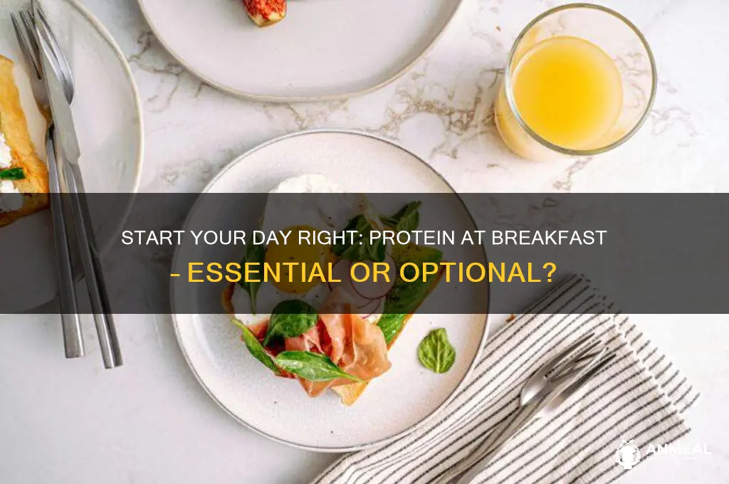 should i always begin breakfast with protein