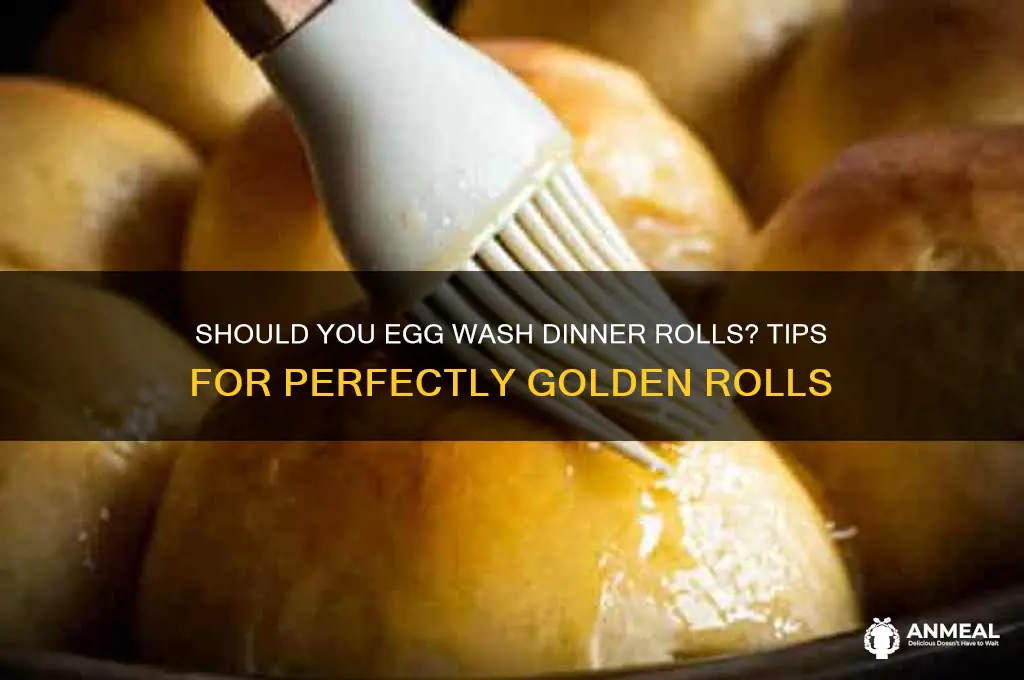 should i egg wash dinner rolls