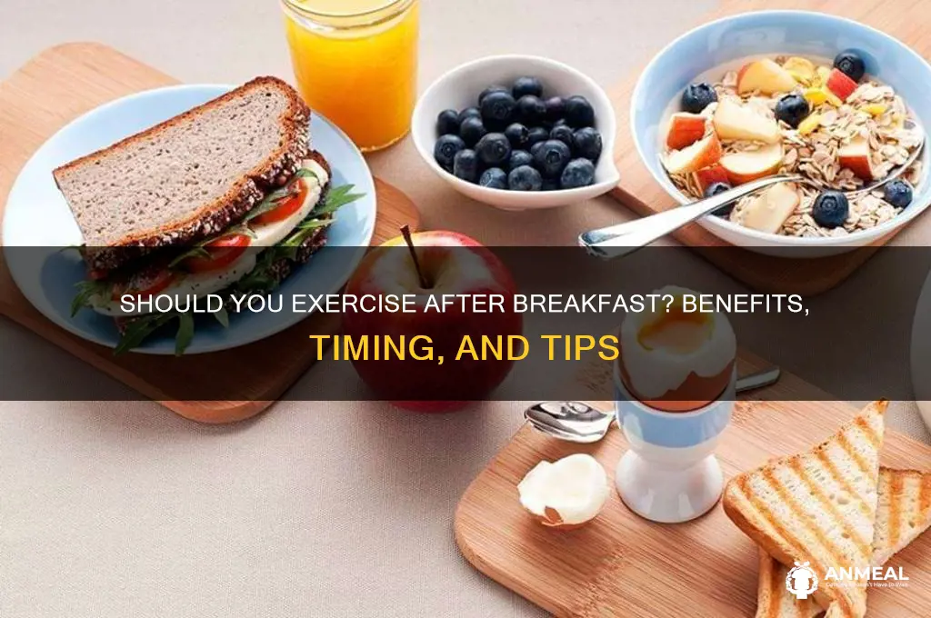 should i exercise after breakfast
