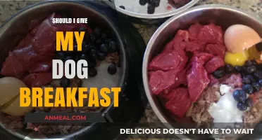Should Dogs Eat Breakfast? Expert Tips for Your Pet's Morning Meal