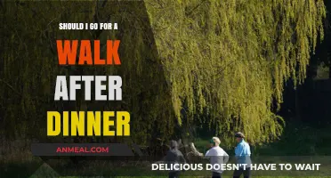 Post-Dinner Stroll: Benefits, Timing, and Tips for a Healthy Walk