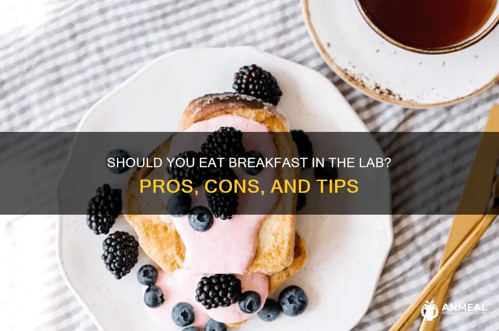 should i have breakfast in labpr