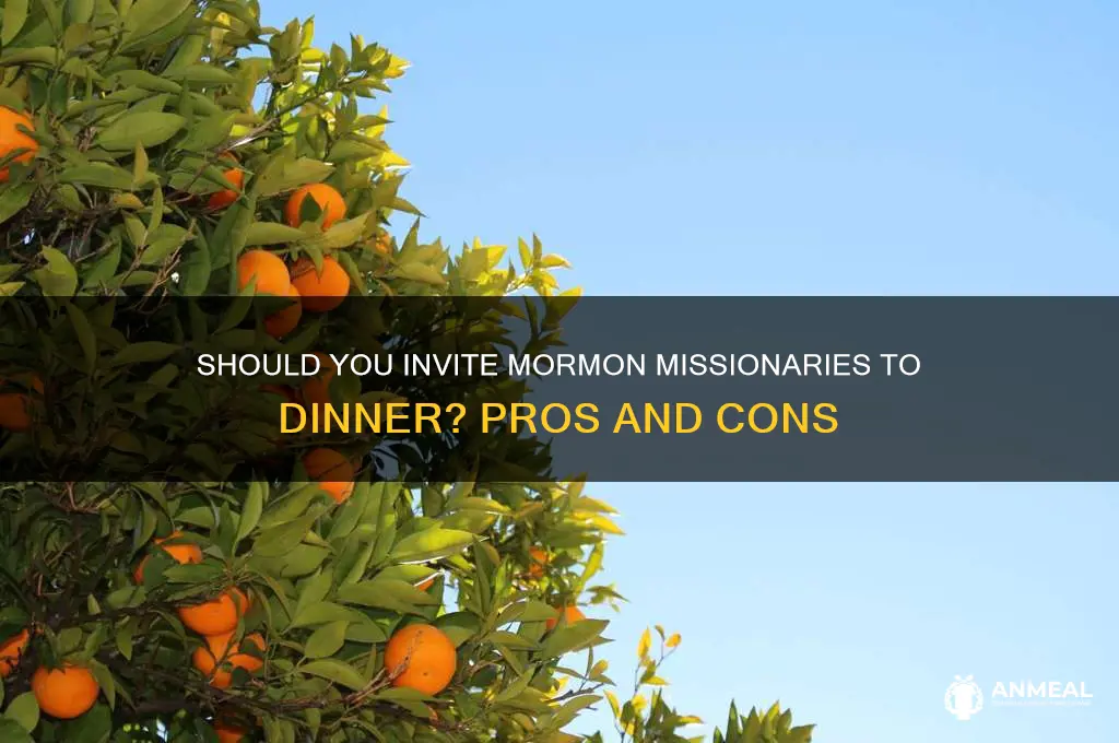should i invite the mormon missionaries to dinner