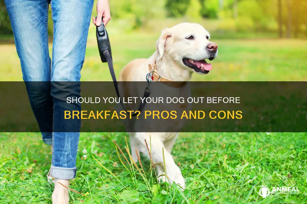 should i let my dog out before breakfast
