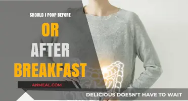 Poop Before or After Breakfast: Timing Your Morning Routine