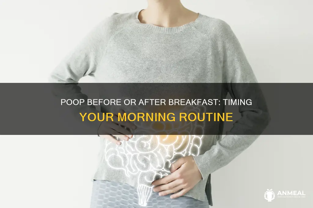 should i poop before or after breakfast