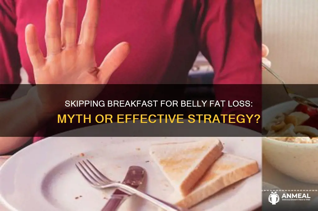 should i skip breakfast to lose belly fat