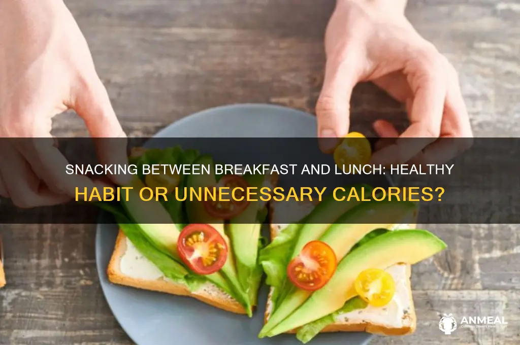 should i snack between breakfast and lunch