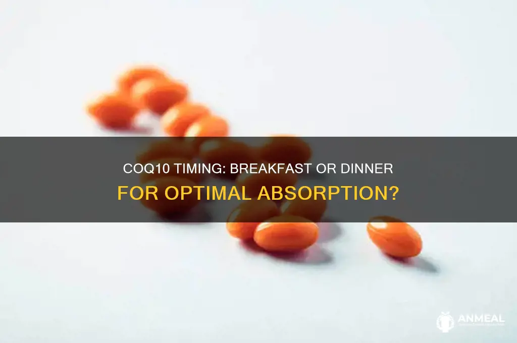 should i take coq10 with breakfast or dinner