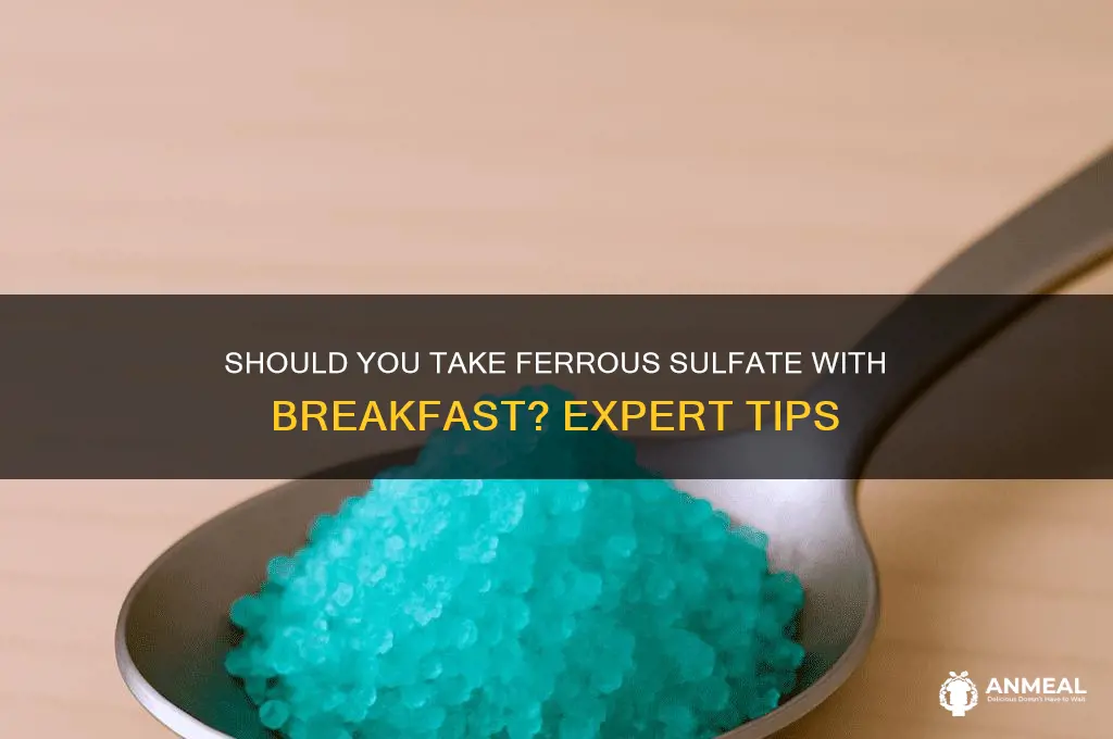 should i take ferrous sulfate with breakfast