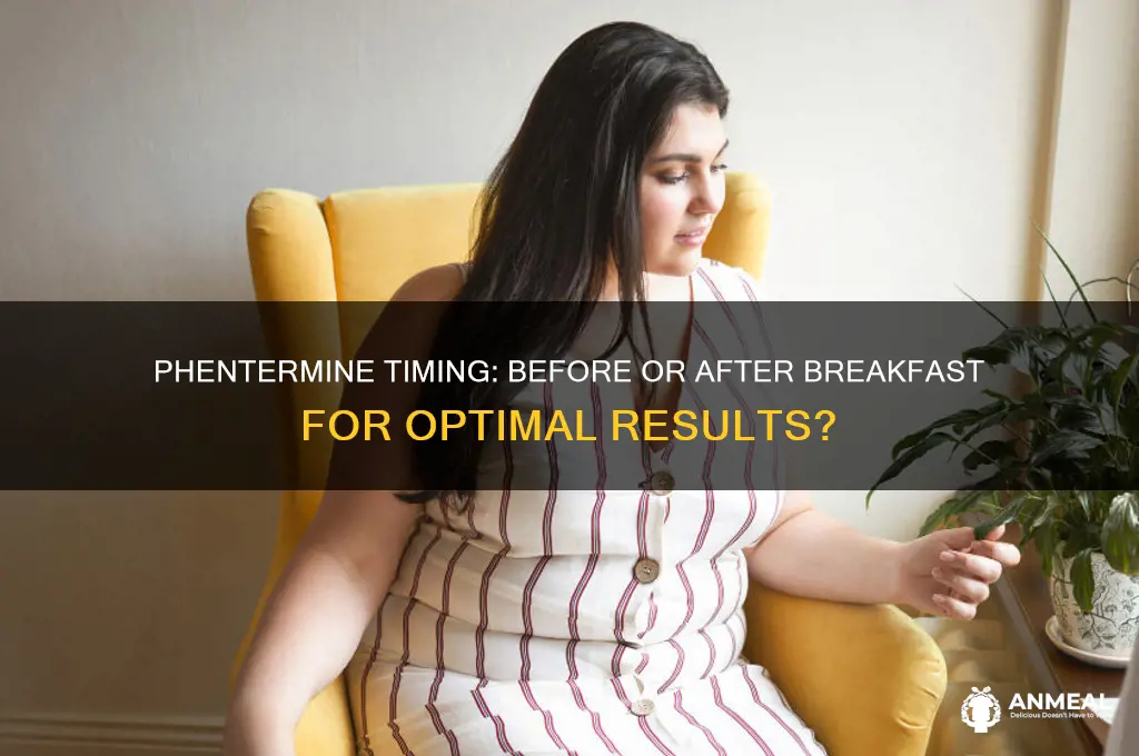 should i take my phentermine before or after breakfast