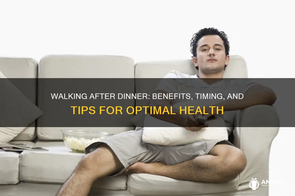 should i walk after dinner