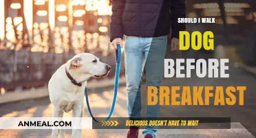 Walk Before Breakfast: Benefits and Tips for Your Dog's Morning Routine