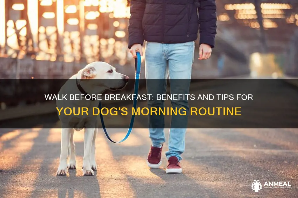 should i walk dog before breakfast