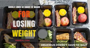Lunch vs. Dinner: Which Meal Size Boosts Weight Loss?