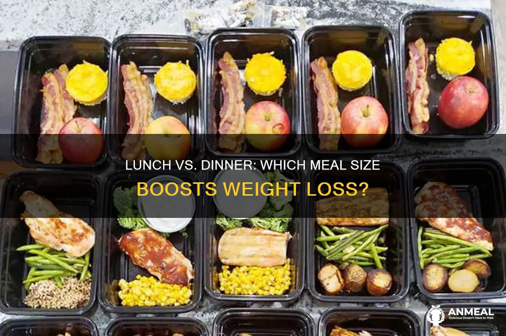 should lunch or dinner be bigger for losing weight