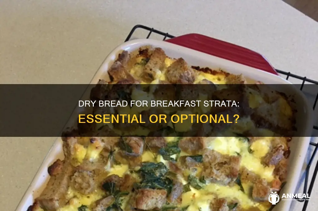 should the bread be dry for a breakfast strata