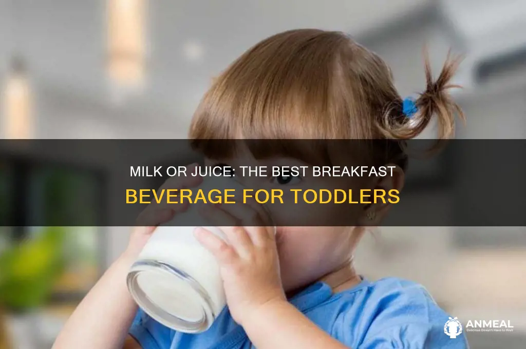 should toddlers drink milk or juice with breakfast
