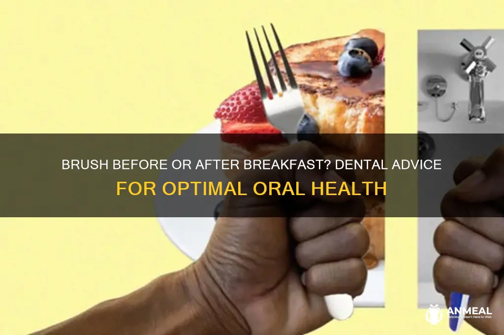 should you brush teeth before or after breakfast dental advice