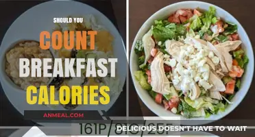 Breakfast Calorie Counting: Essential or Overrated for Healthy Eating?