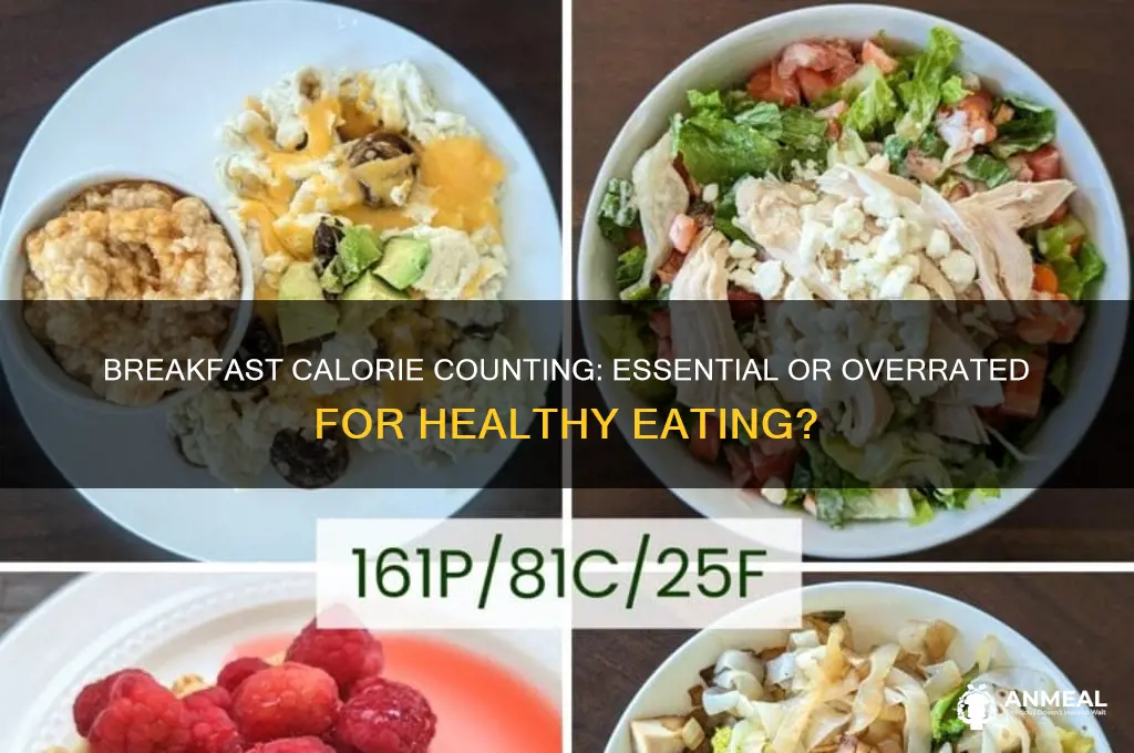 should you count breakfast calories