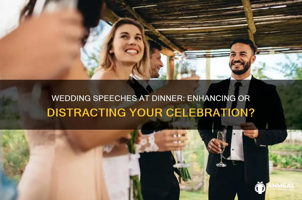 should you do speeches during wedding dinner