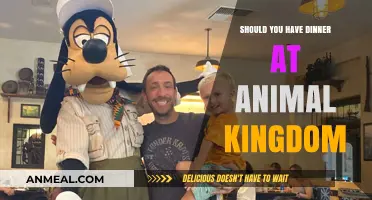 Dining at Animal Kingdom: Worth the Experience or Skip It?