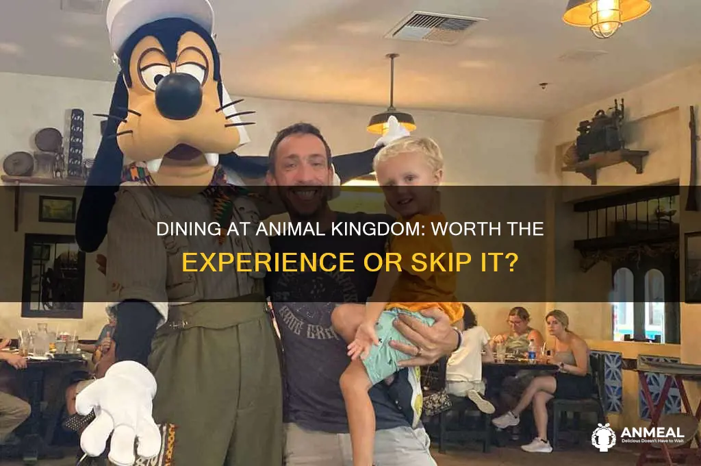 should you have dinner at animal kingdom