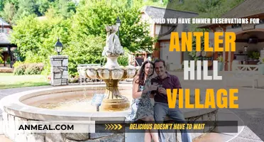 Antler Hill Village Dining: Are Reservations Necessary for Your Visit?