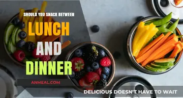 Snacking Between Lunch and Dinner: Healthy Habit or Unnecessary Indulgence?