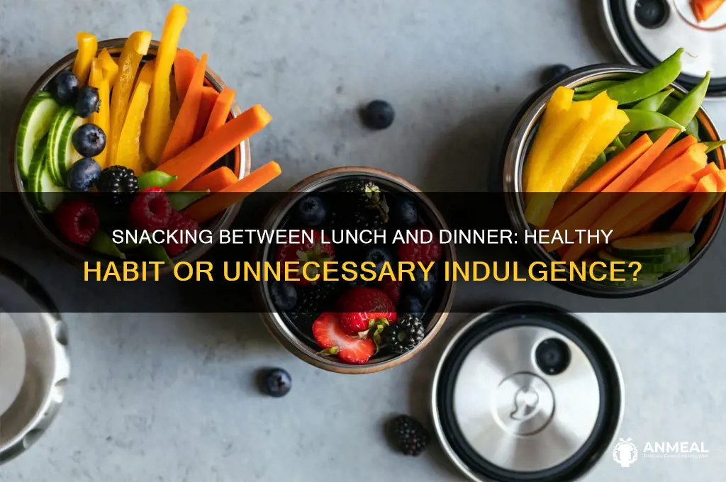 should you snack between lunch and dinner