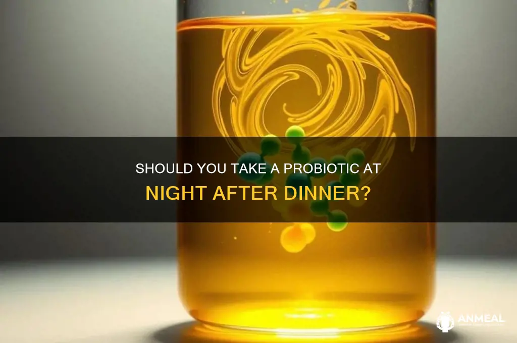 should you take a probiotic at night after dinner
