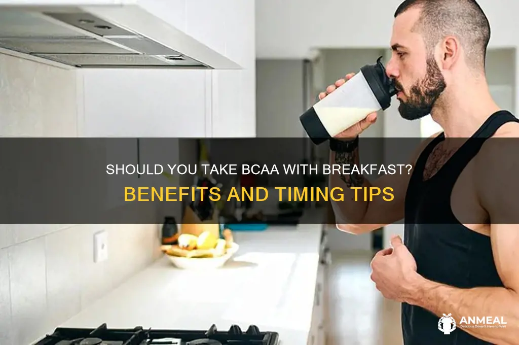 should you take bcaa with breakfast