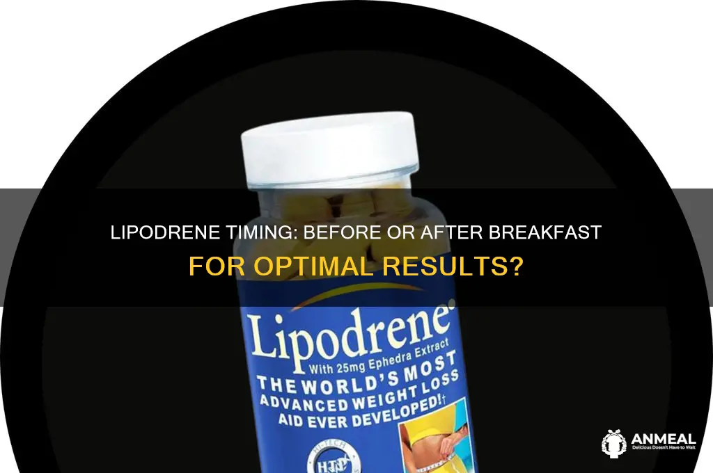 should you take lipodrene before breakfast or after breakfast