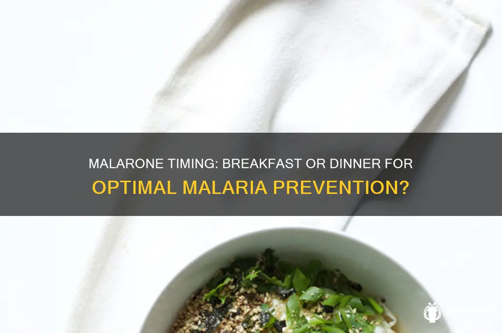 should you take malarone with breakfast or dinner